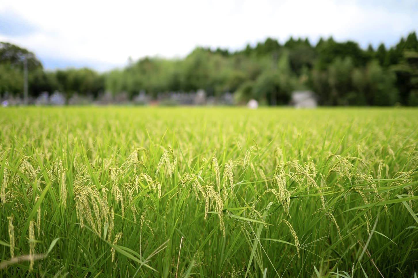 鳥取県大山大山町
